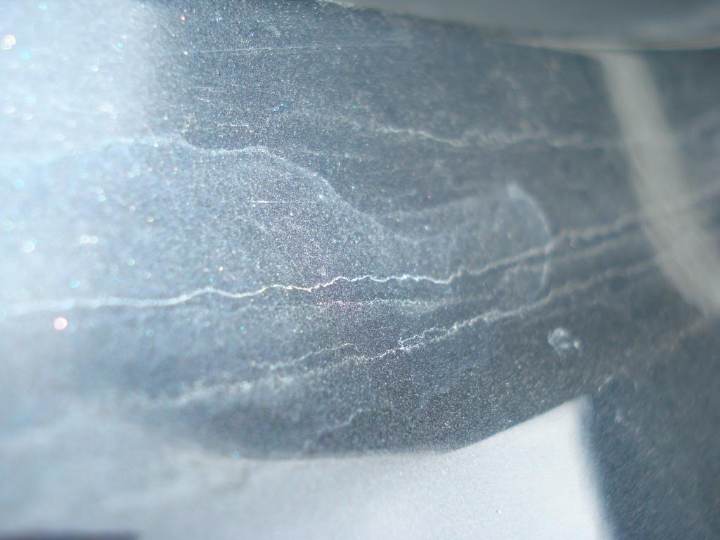 DSC07330.jpg