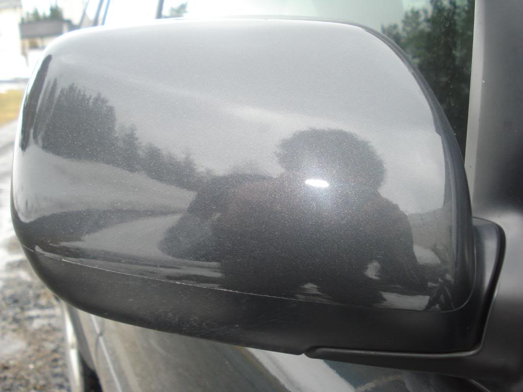 DSC07331.jpg