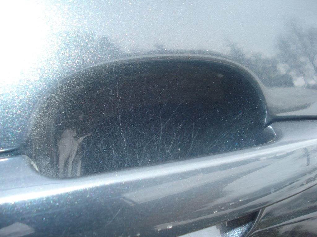 DSC07334.jpg
