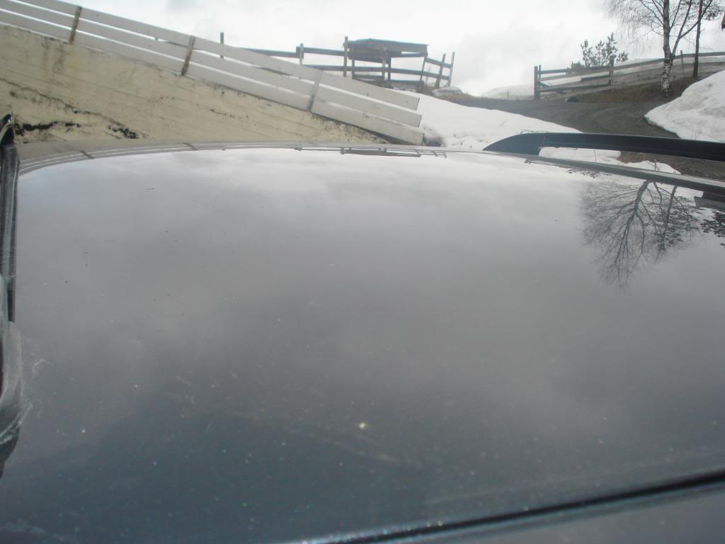 DSC07339.jpg