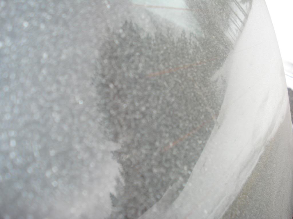 DSC07340.jpg