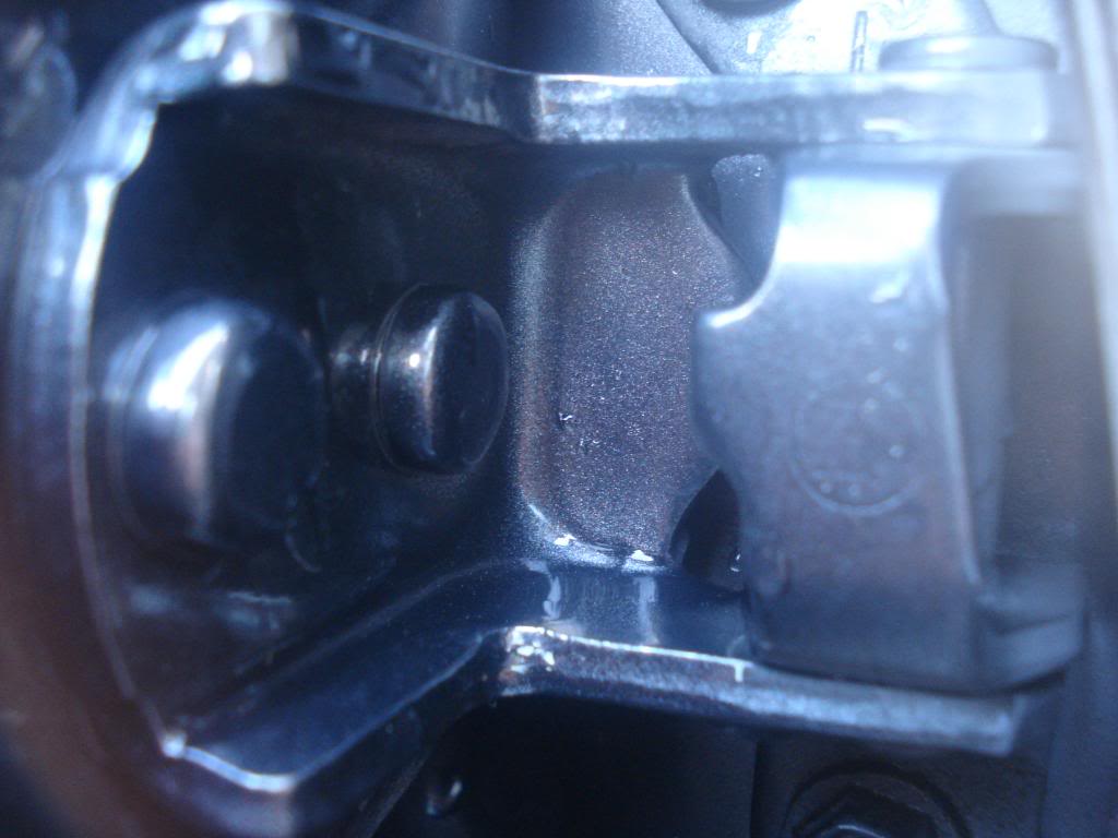 DSC07399.jpg