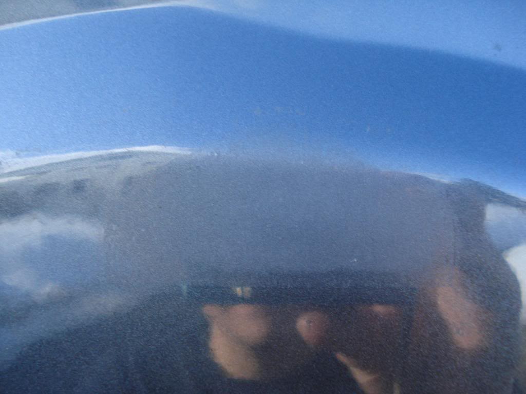 DSC07418.jpg