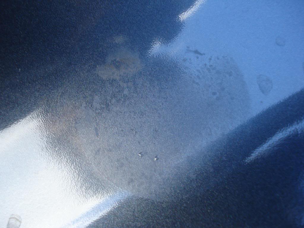 DSC07419.jpg