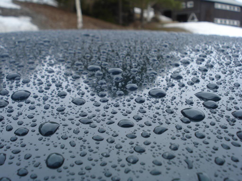 DSC07561.jpg