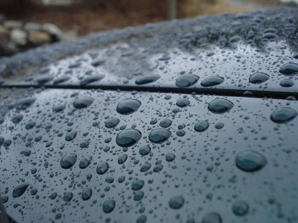 DSC07563.jpg