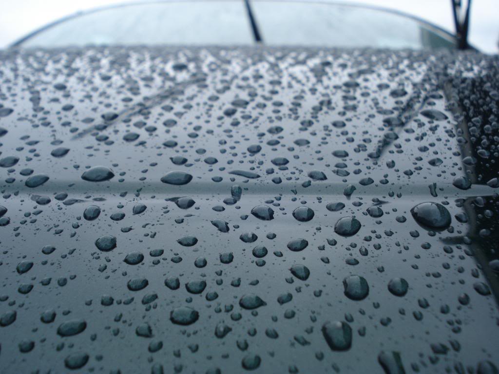 DSC07564.jpg