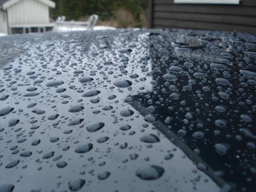DSC07565.jpg