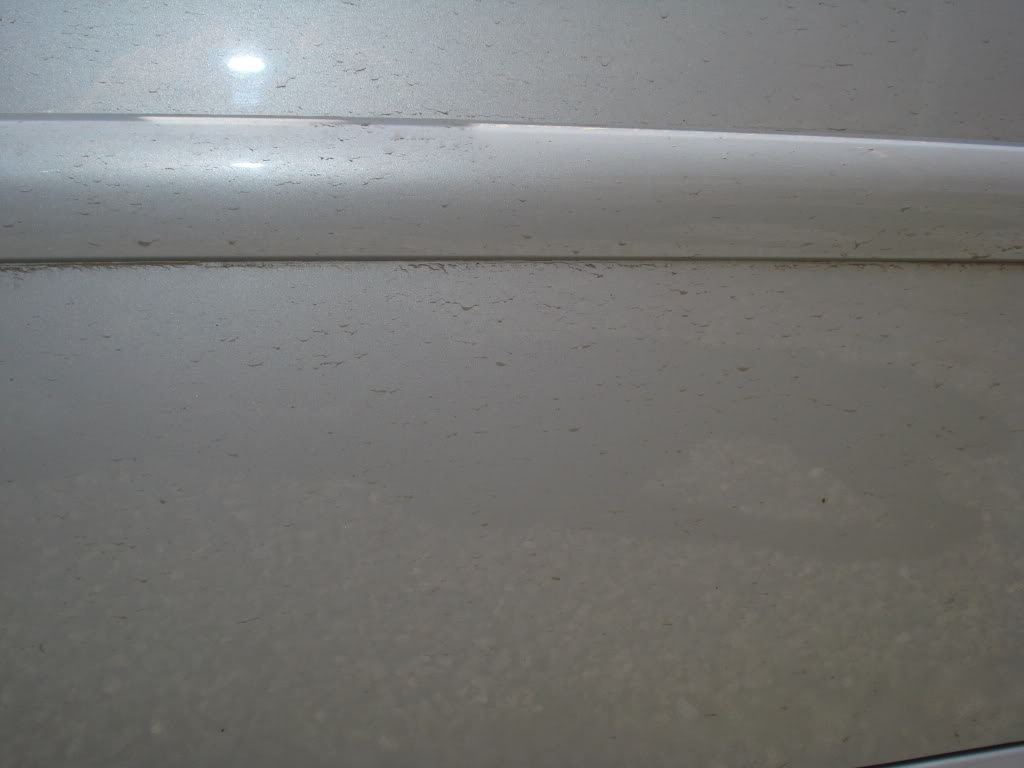 DSC07714.jpg