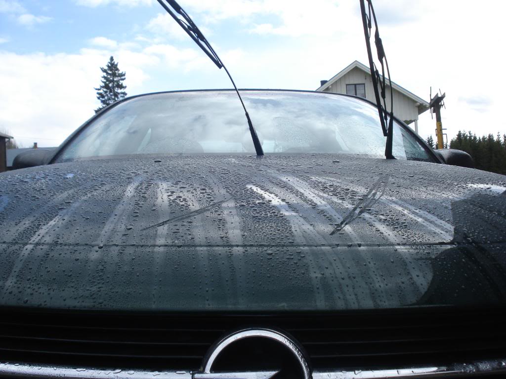 DSC07755.jpg