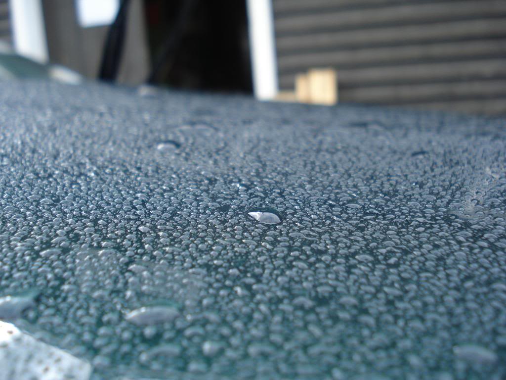DSC07757.jpg