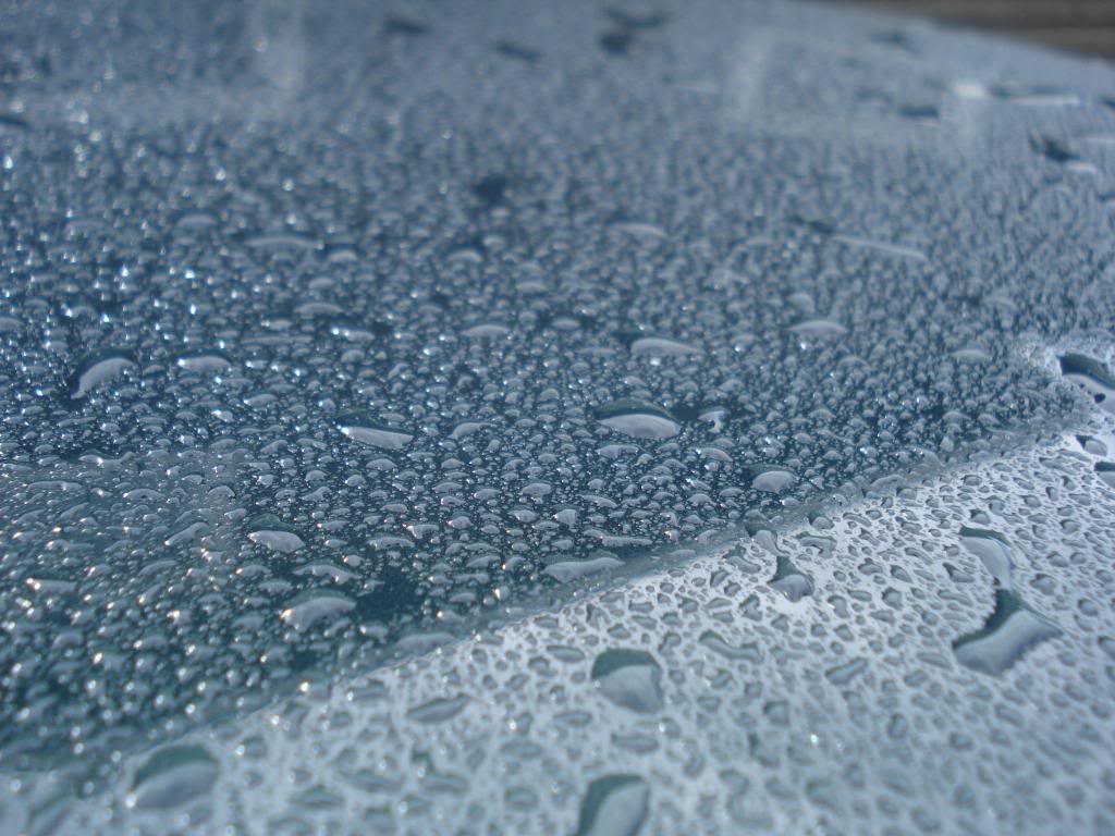 DSC07760.jpg