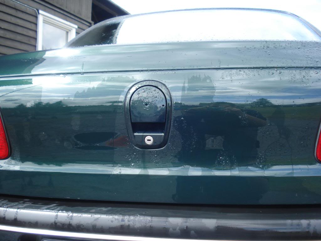 DSC07762.jpg