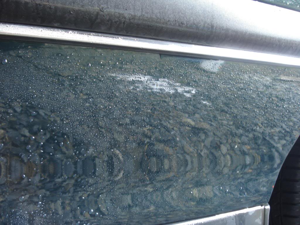 DSC07764.jpg