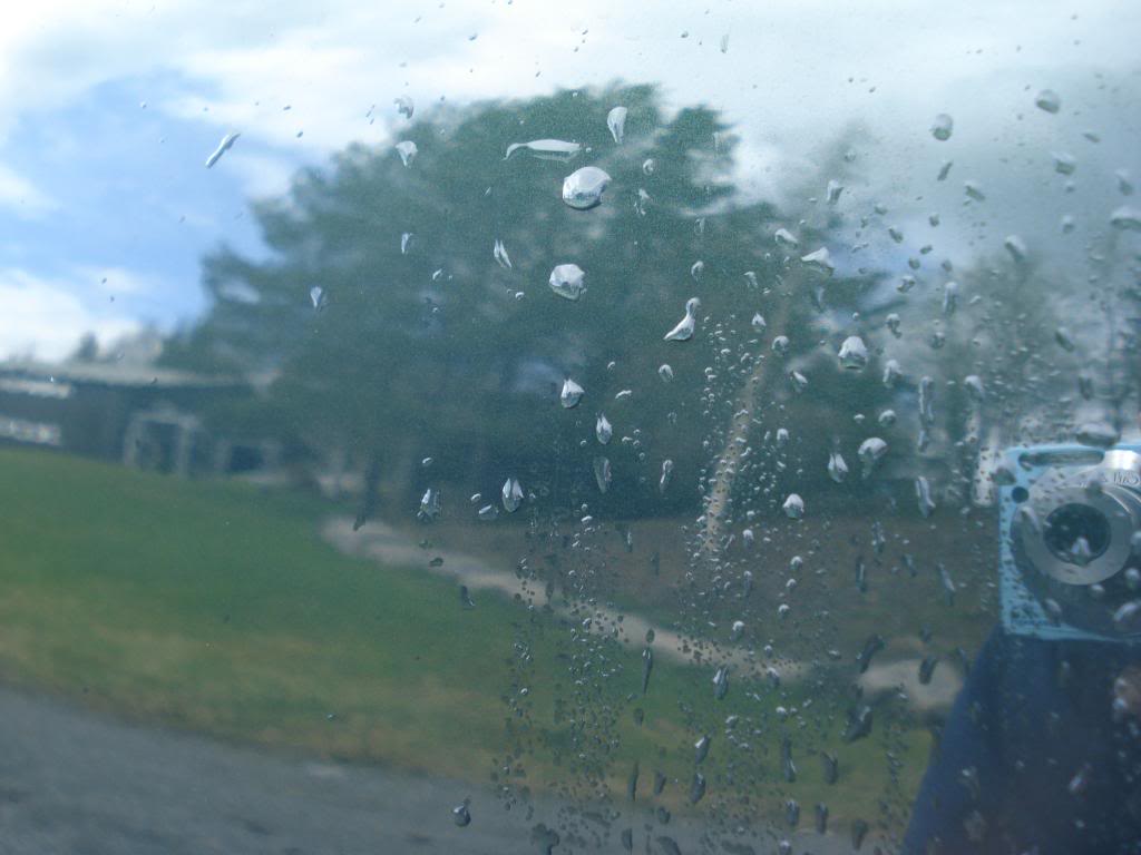 DSC07765.jpg