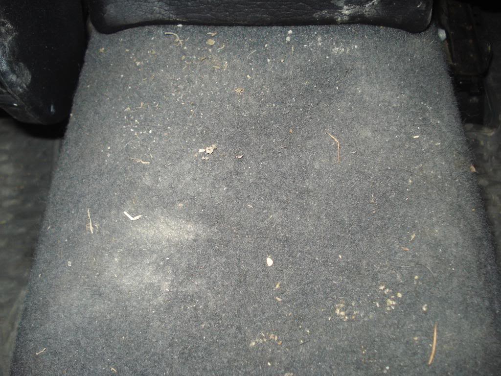 DSC07863.jpg
