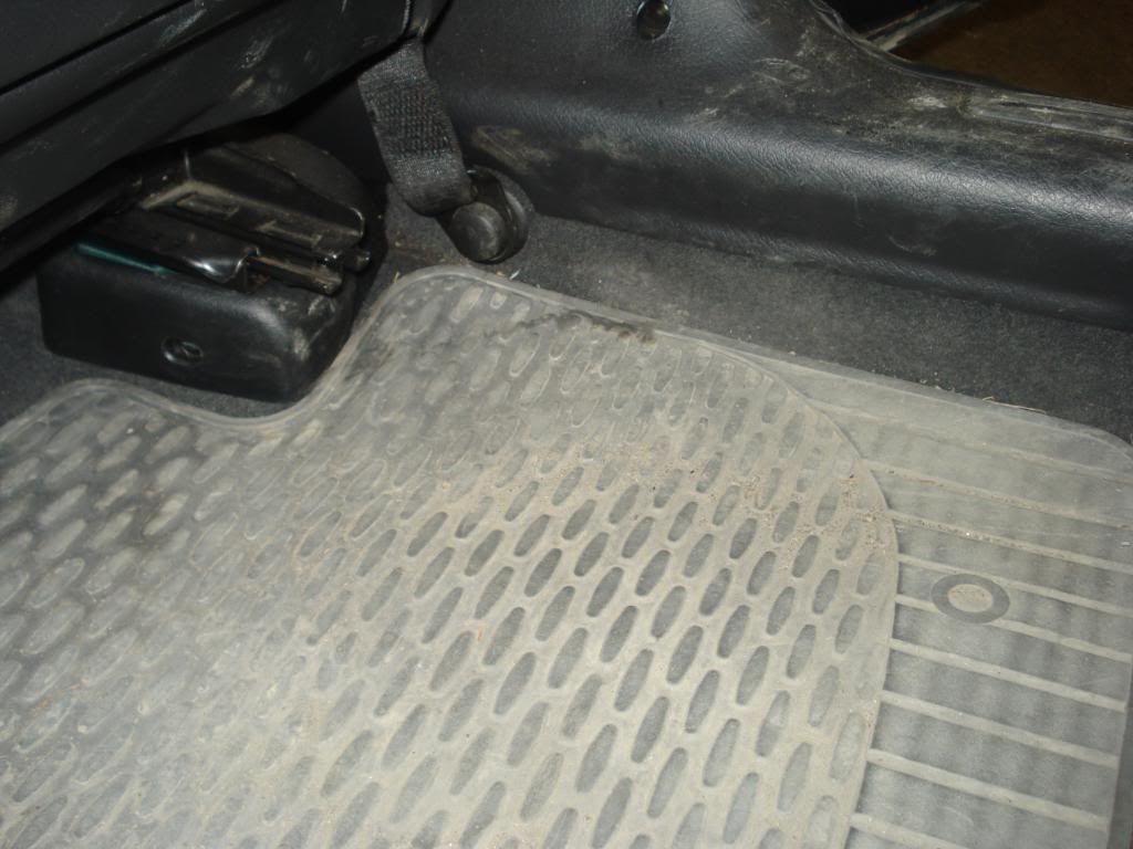 DSC07864.jpg
