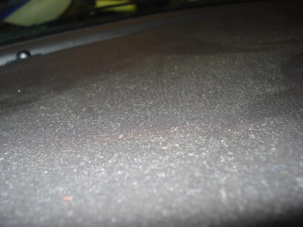 DSC07867.jpg