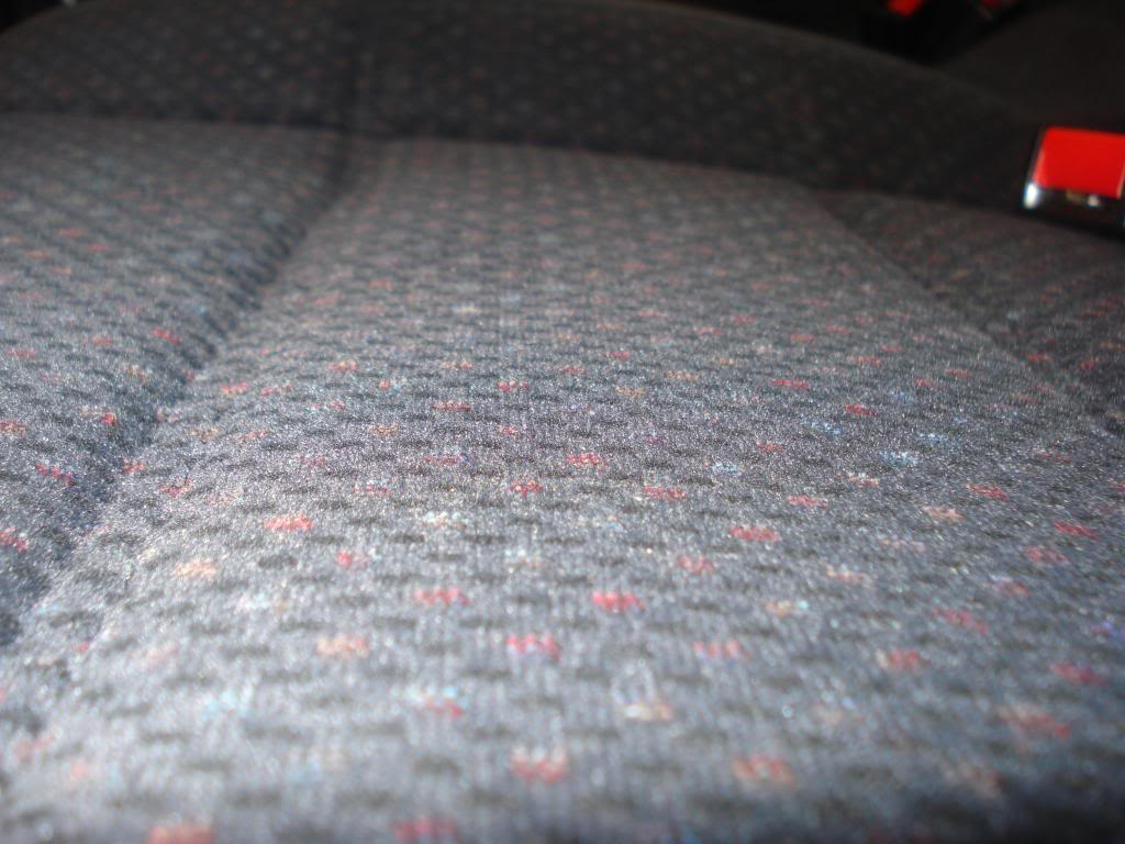 DSC07893.jpg