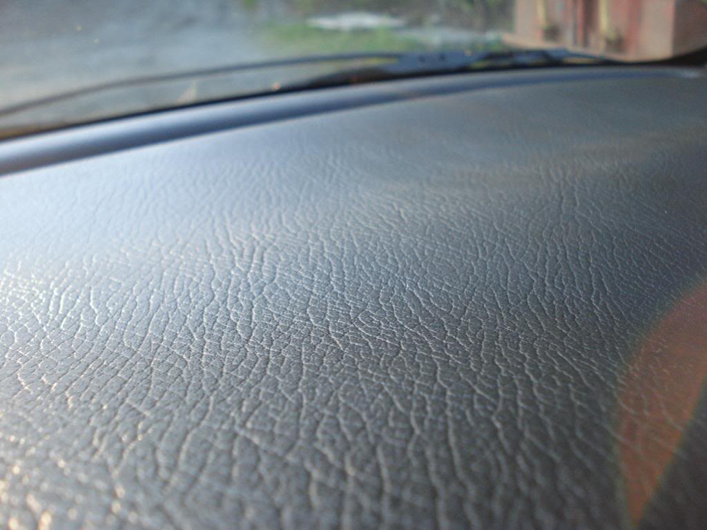 DSC07903.jpg