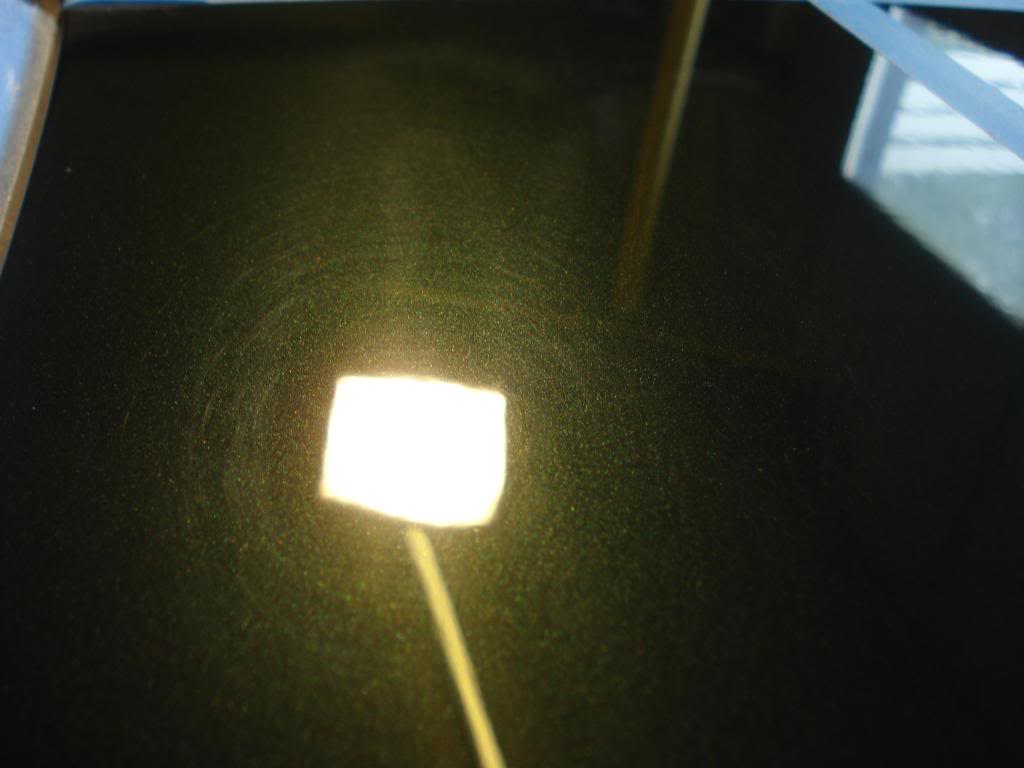 DSC07929.jpg