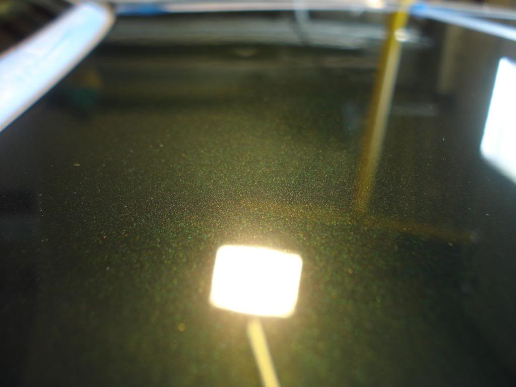 DSC07933.jpg