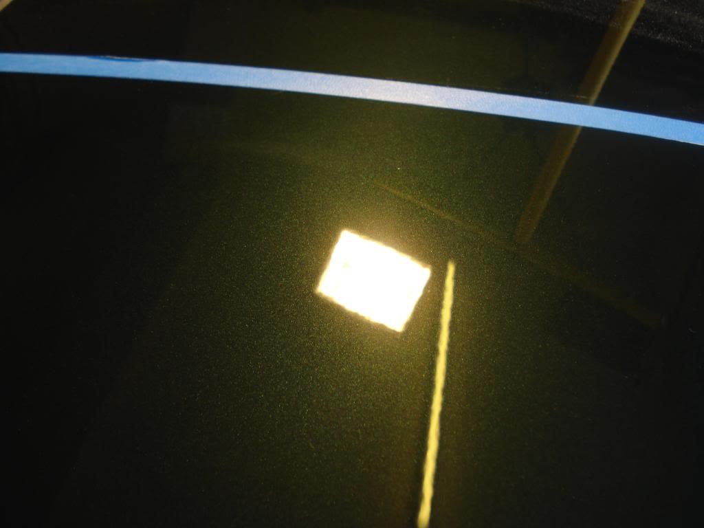 DSC07944.jpg
