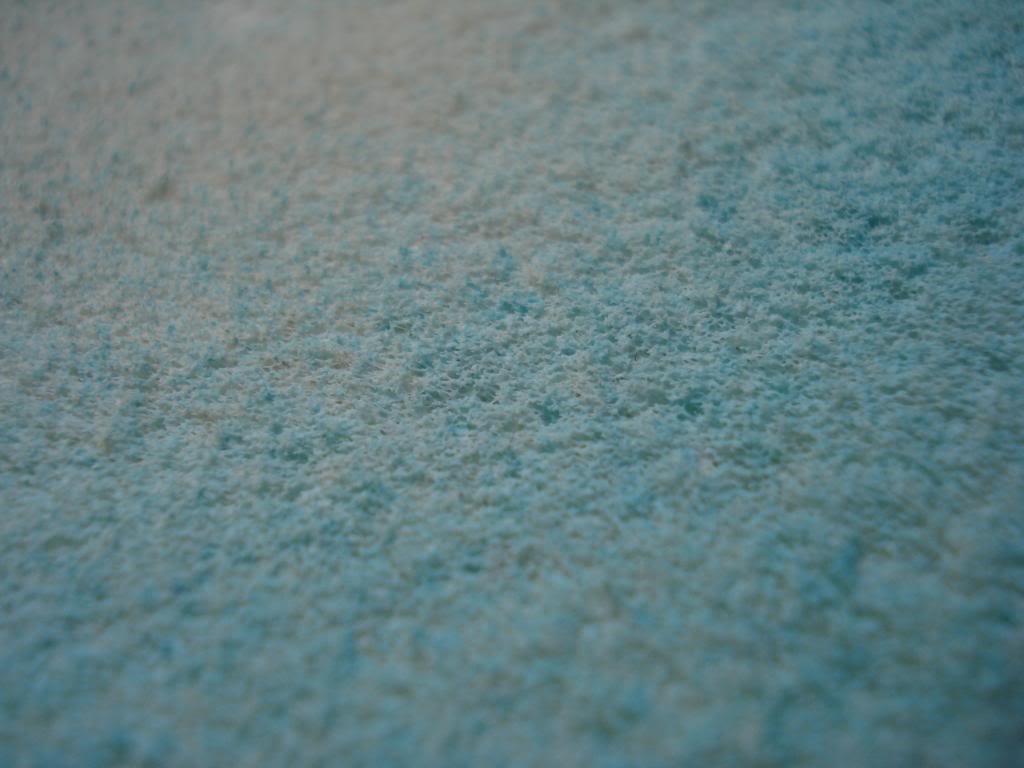 DSC07959.jpg
