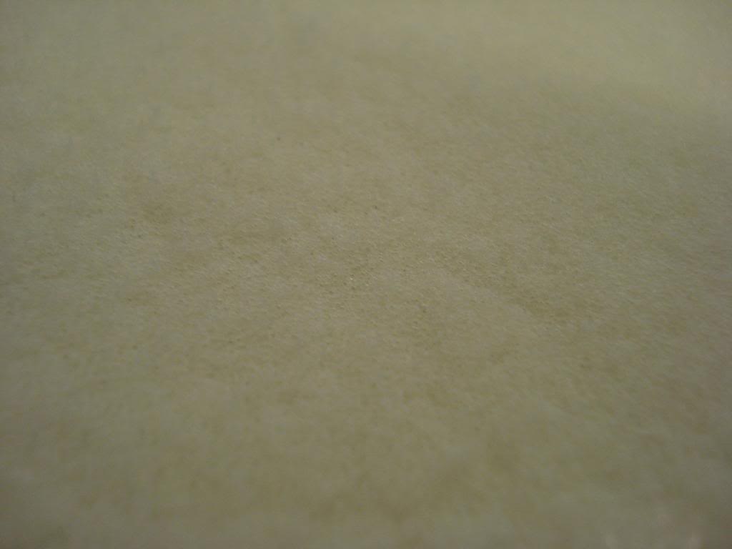 DSC07961.jpg