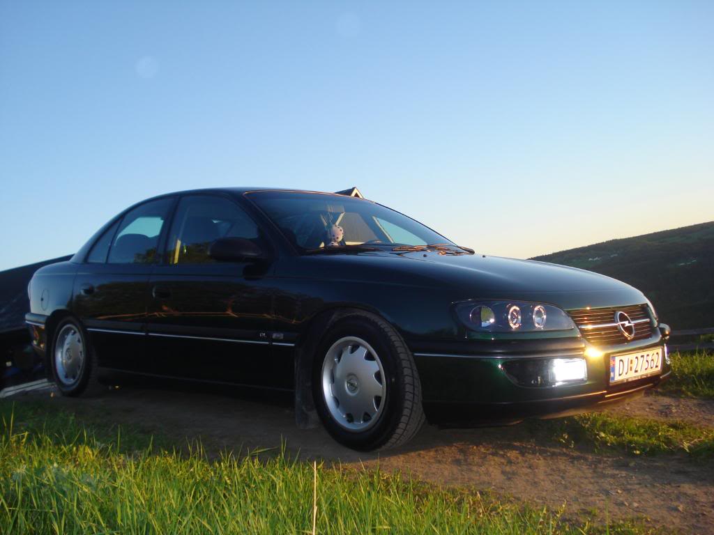 DSC08083.jpg