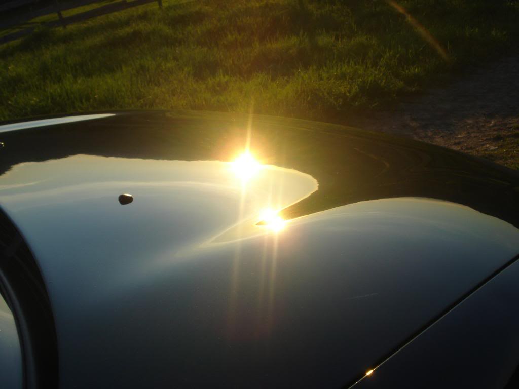 DSC08084.jpg
