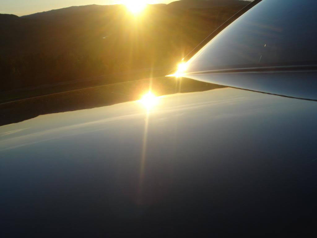 DSC08086.jpg