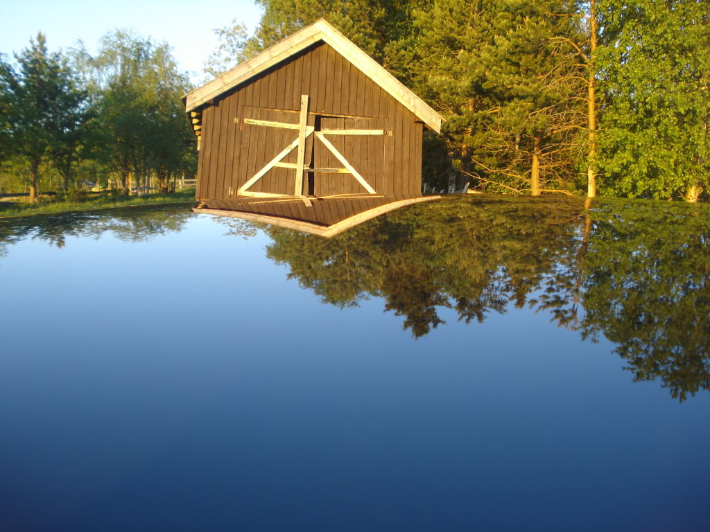 DSC08095.jpg