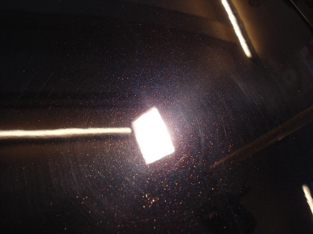 DSC08269.jpg