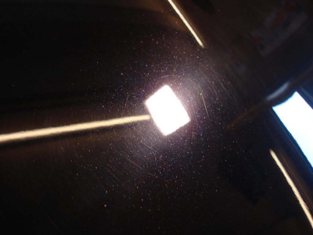 DSC08270.jpg