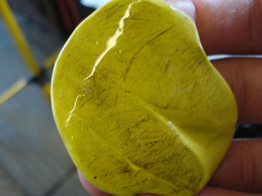 DSC08278.jpg