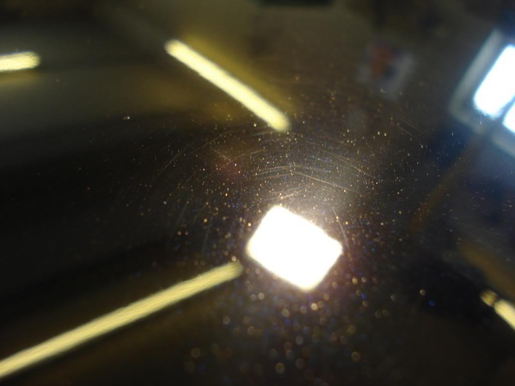 DSC08281.jpg
