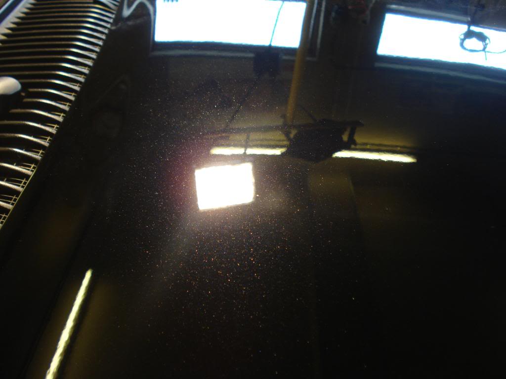DSC08292.jpg