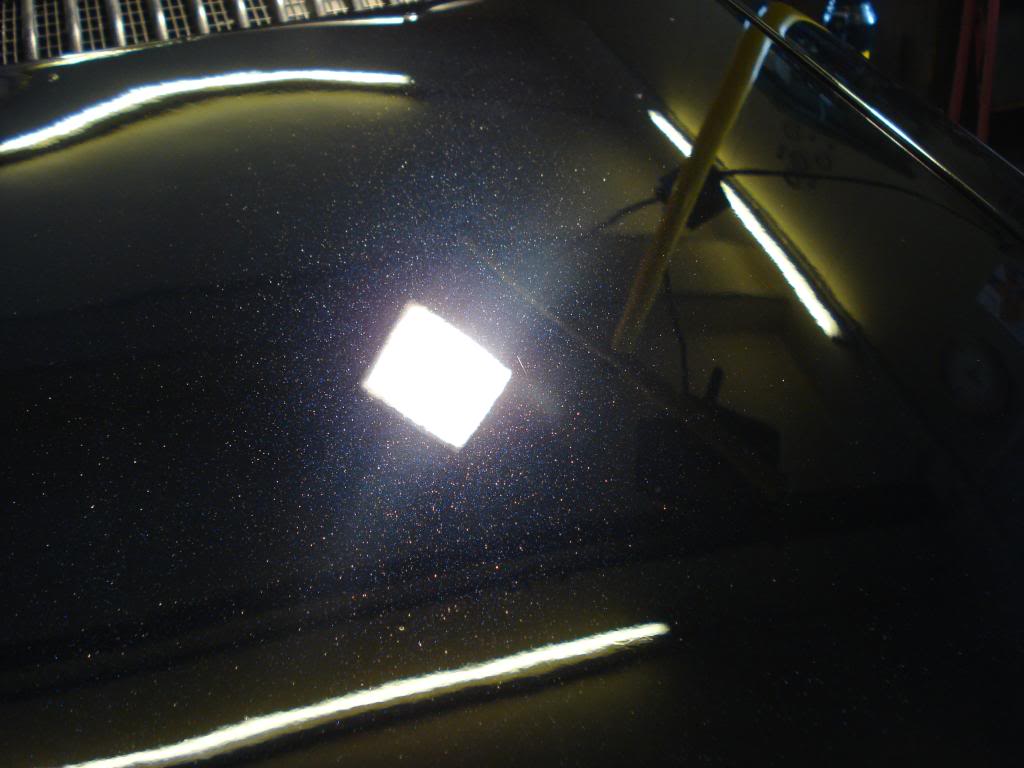 DSC08297.jpg
