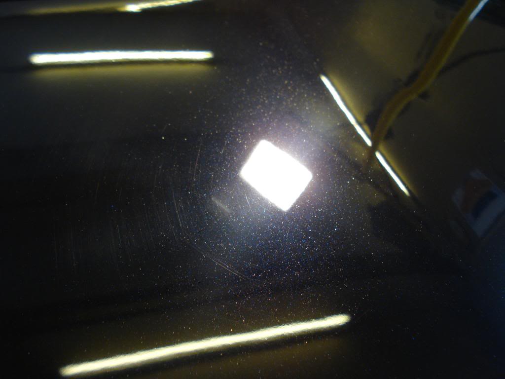 DSC08298.jpg