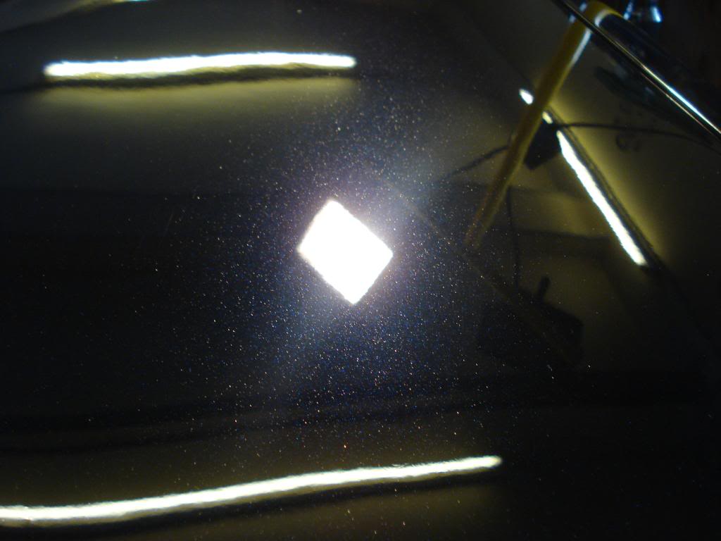 DSC08299.jpg