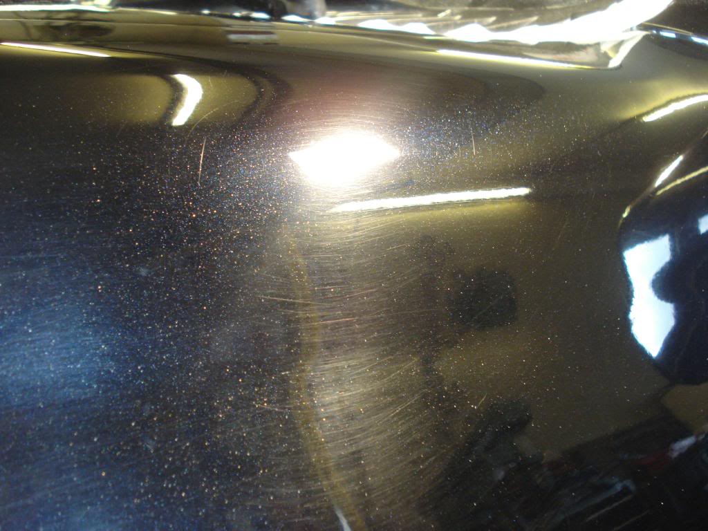 DSC08304.jpg
