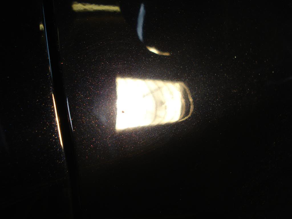 DSC08310.jpg