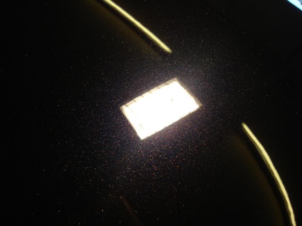 DSC08313.jpg