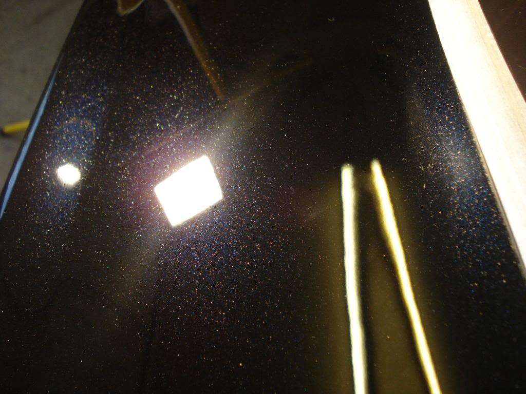 DSC08319.jpg