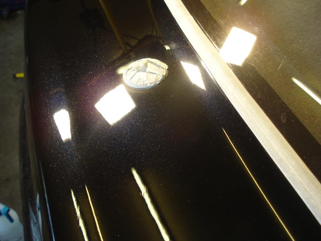 DSC08326.jpg