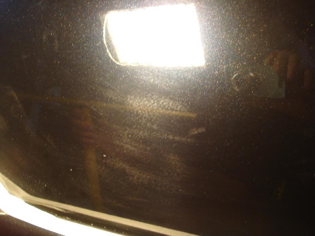 DSC08331.jpg