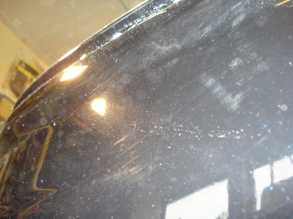 DSC08367.jpg