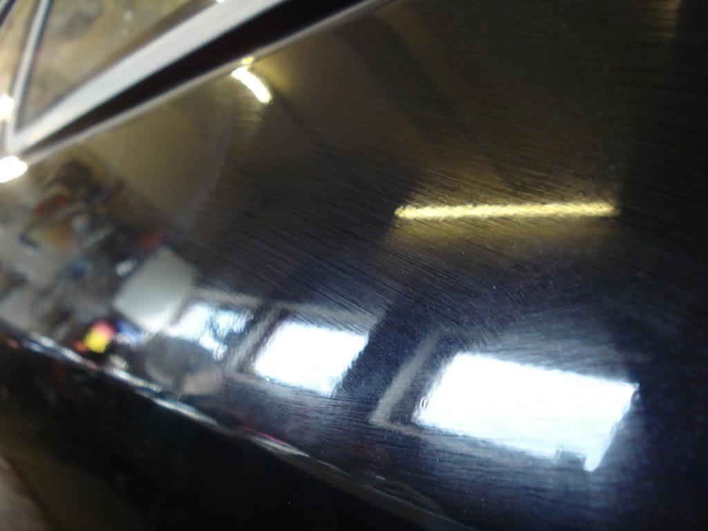 DSC08406.jpg