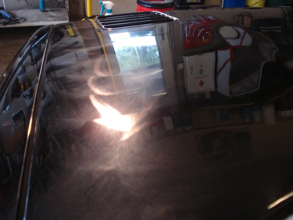 DSC08408.jpg